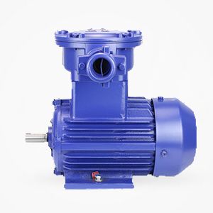大強(qiáng)植保e5000電機(jī)參數(shù)，詳解大強(qiáng)植保e5000電機(jī)的技術(shù)參數(shù)